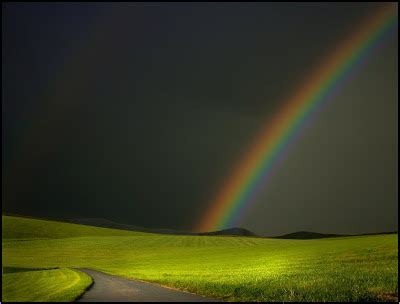 Fresh Pics: Beautiful Corn Field Photography