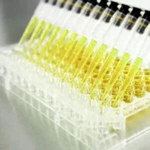 COX Inhibition Assay | Nawah Scientific