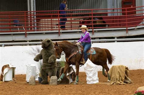 Horse Training - hhequestrianfitness.com