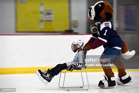 523 Colorado Avalanche Mascot Stock Photos, High-Res Pictures, and Images - Getty Images