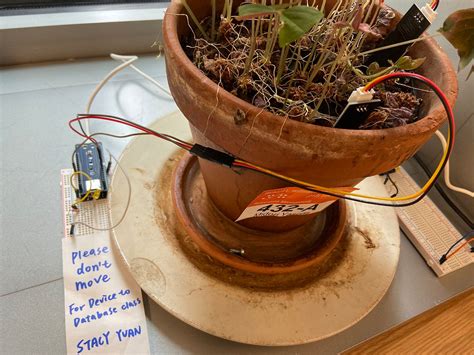 Week3 — Plant Sensor. For this assignment, we have to use… | by Stacy ...