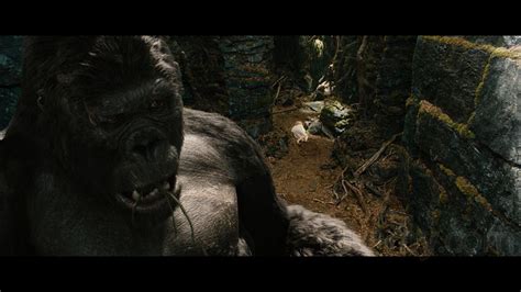 Kong & Ann Darrow from King Kong 2005 | King kong, King kong 2005, Kong