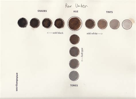 Raw Umber - Tone 20 Information | Art Shebang