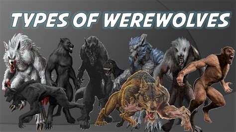 Werewolves :Types and Classes Explained - YouTube