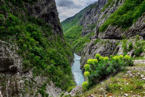 Moraca river canyon Stock Photo by ©liseykina 58404219