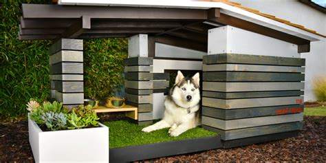 Creative Dog House Designs