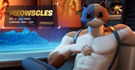 Fortnite Toon Meowscles GIF Fortnite Toon Meowscles The, 50% OFF