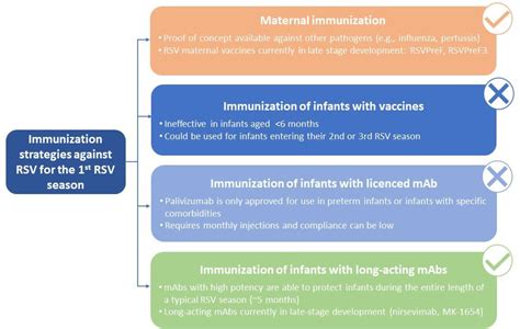 Frontiers | RSV Prevention in All Infants: Which Is the Most Preferable ...