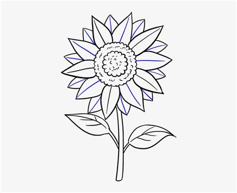 Drawn Sunflower Easy - Sunflower Drawing Step By Step Easy - Free Transparent PNG Download - PNGkey