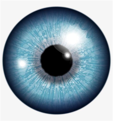 Blue Drawing Eyeball - Eye Lens Png Transparent PNG - 800x800 - Free Download on NicePNG