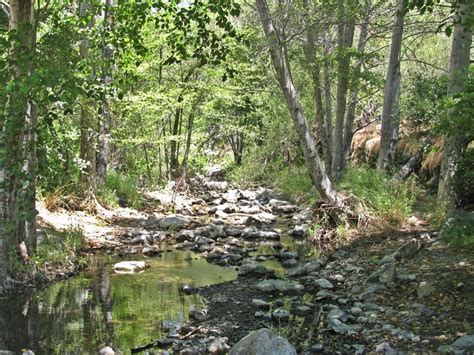 Hike and swim, Silverado Canyon/Mathis Springs Trail Summer Hike ...