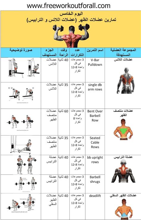 جدول تمارين كمال الاجسام 5 ايام | Workout routine for men, Gym workouts ...