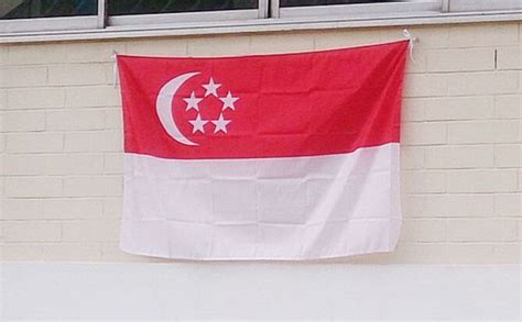 Singapore Flag National Day HDB, Furniture & Home Living, Home Decor ...