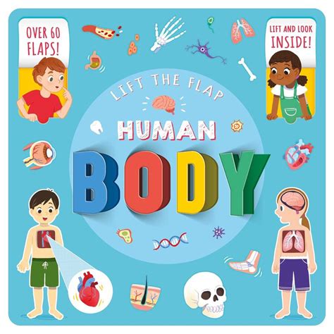 Human Body | Book by IglooBooks, Bonnie Pang | Official Publisher Page | Simon & Schuster