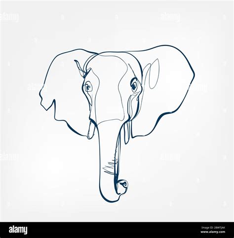 elephant vector animal wild one line Stock Vector Image & Art - Alamy