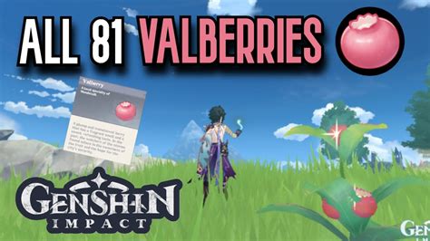 ALL 81 Valberry Locations | Complete Guide & Efficient Route | Genshin ...