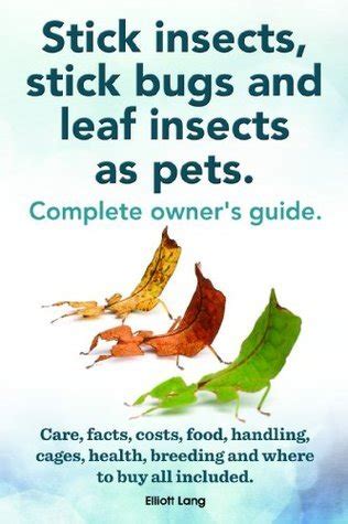 Stick insects, stick bugs and leaf insects as pets. Stick insects care ...