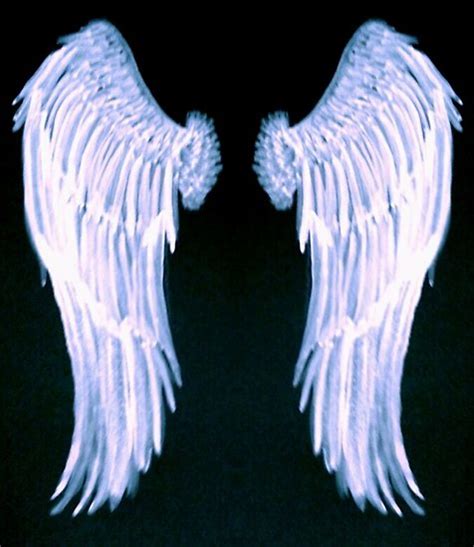 Watercolor Angel Wings at PaintingValley.com | Explore collection of ...