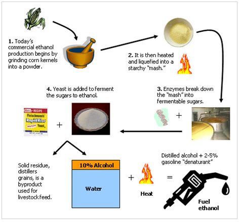 Biofuels – An Analysis of the Context and Consequences of Ethanol and ...