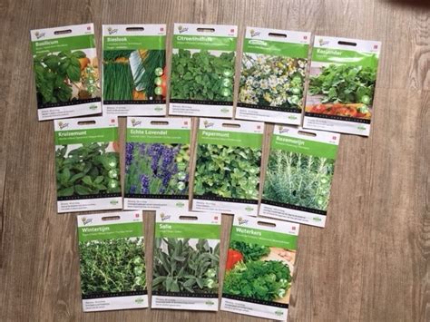 Herb Seeds Packet - Dutch Garden Seeds for Free Shipping Above 25