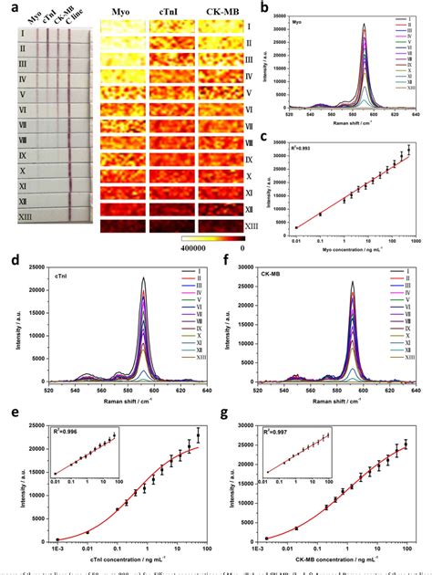 Chemiluminescence immunoassay | Semantic Scholar