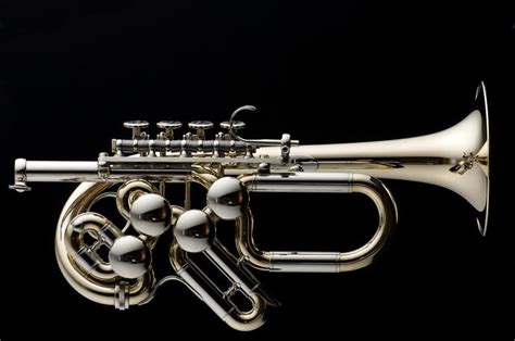 Zirnbauer Piccolo Trumpet | Brass musical instruments, Woodwind instruments, Brass instrument