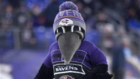 Ravens place mascot on IR | Yardbarker