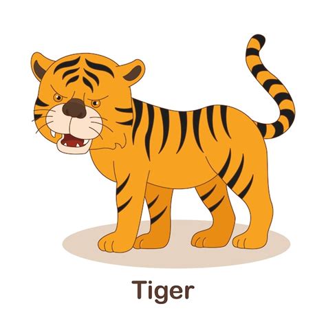 Premium Vector | Vocabulary Flash Card for kids. Tiger with picture of tiger (Vocabulary for ...