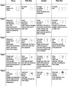 Tanner stages of development MNEMONICS | Clinicals | Pediatric nurse ...