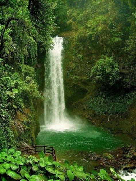 La Paz,Costa Rica | Beautiful waterfalls, Places to travel, Waterfall