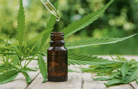 Cannabis Tincture 101: 5 Important Things to Know About Tinctures