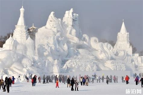 哈尔滨雪乡四日游详细攻略_旅泊网