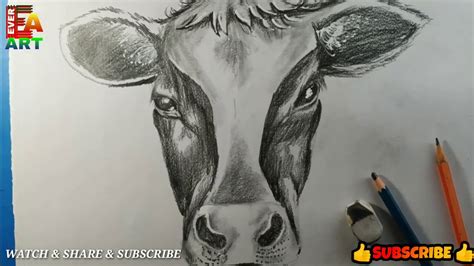 Share 81+ cow sketch face super hot - seven.edu.vn