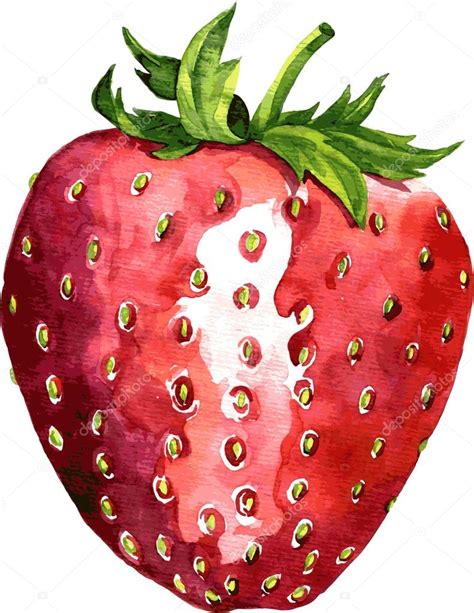 Strawberry Pictures To Draw - Firdausm Drus