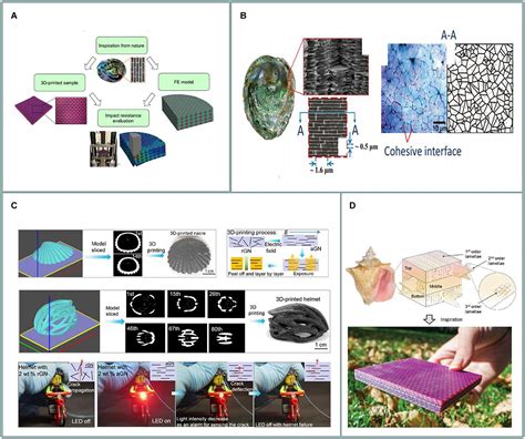 Frontiers | Recent Advancements in Biomimetic 3D Printing Materials ...