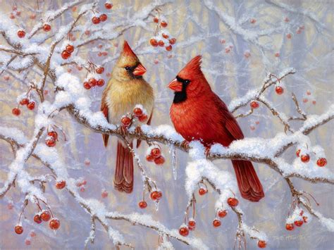 Winter Joy - Northern Cardinals - 30x40 image on 34x44 Giclée ...