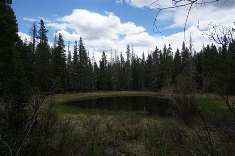 South Park Trail - GO HIKE COLORADO