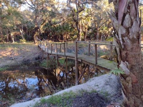 Three Lakes Wildlife Management Area to the Little Big Econ State Park on the Florida Trail ...