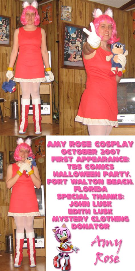 Amy Rose Cosplay by bluefantasy on DeviantArt