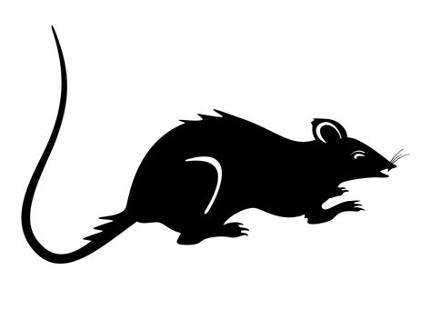 Rat Vector Image | FreeVectors