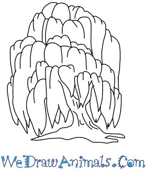 How to Draw a Willow Tree