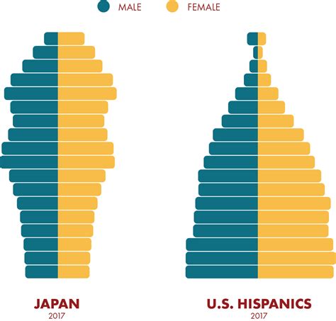 13 - Population Pyramid Japan - NAHREP