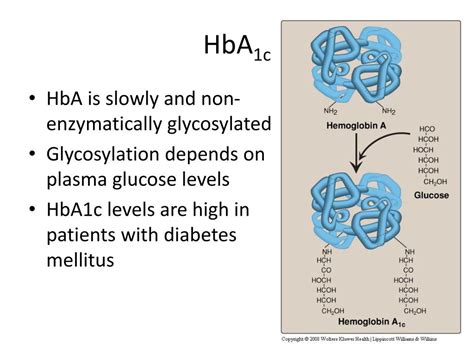 PPT - Structure and function of hemoglobin PowerPoint Presentation, free download - ID:4497212