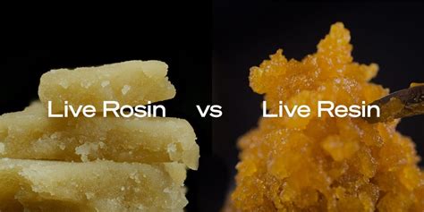 Live Rosin vs Live Resin: Similarities and Differences