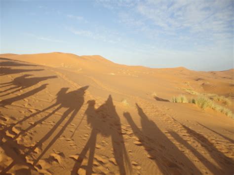 Free Images : landscape, sand, field, prairie, dune, valley, shadow ...