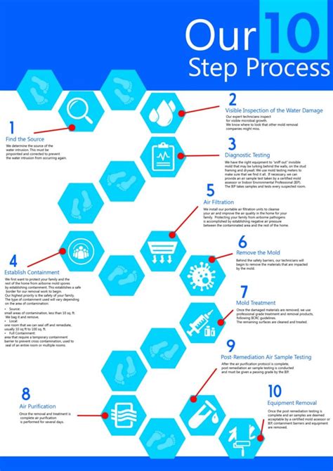 Our Mold Removal Process: What to Expect and What We Deliver