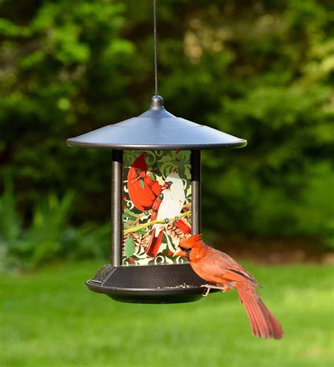 Cardinal Solar Bird Feeder | PlowHearth