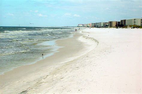 Are Dogs Allowed On Okaloosa Island Beaches