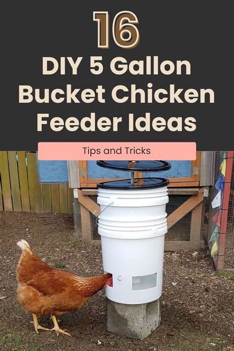 16 DIY 5 Gallon Bucket Chicken Feeder Ideas | Chicken feeders, Chicken feeder diy, Chicken feeder