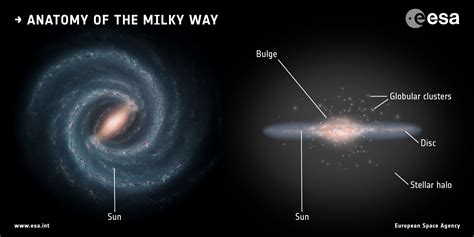 The Merger That Led to the Formation of the Milky Way